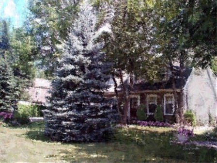 17magnoliabaiedpaintingwebsite.jpg