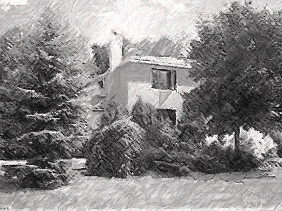 21magnoliabaiedsketchwebsite.jpg