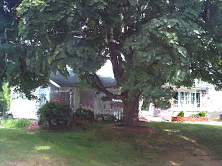 kathyclaridgepaintingwebsite.jpg